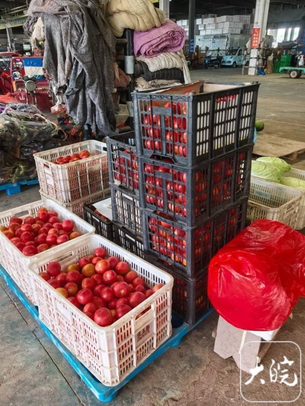 恒正网配资 立秋后一个月，黄瓜、西红柿价格为啥“蹭蹭”往上涨？